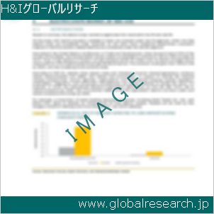 グローバルリサーチ調査レポートのイメージ